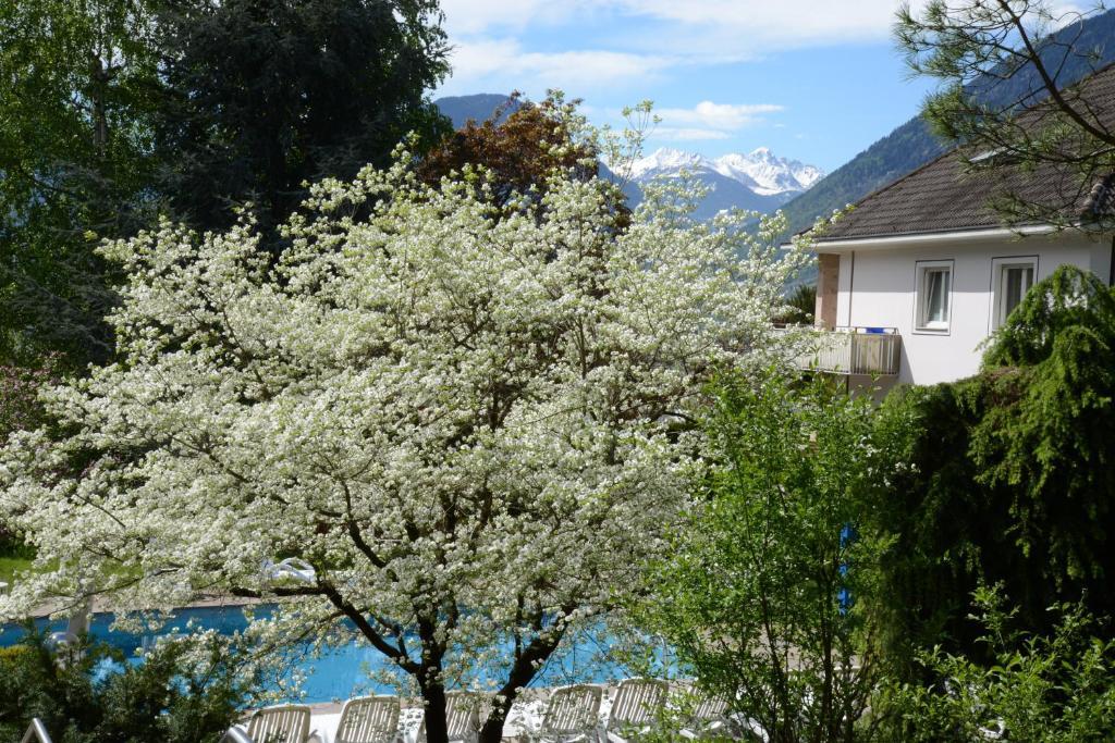 Hotel Tannerhof Merano Kültér fotó